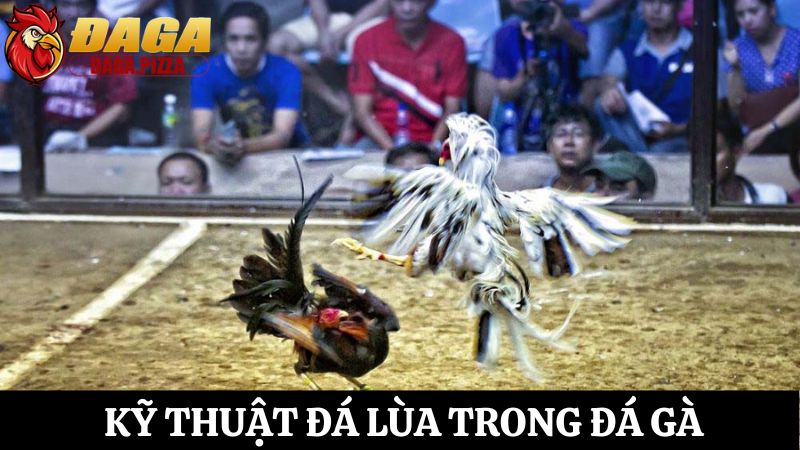 Khám phá chi tiết các kỹ thuật đá gà hiệu quả cho tân thủ Các kỹ thuật đá gà hiệu quả - Đá lùa